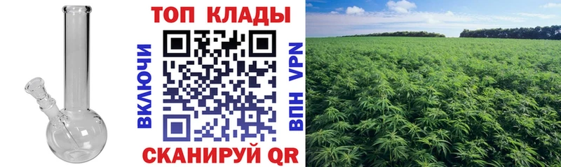 Продажа наркотиков Горно-Алтайск Псилоцибиновые грибы Бошки Шишки Кокаин