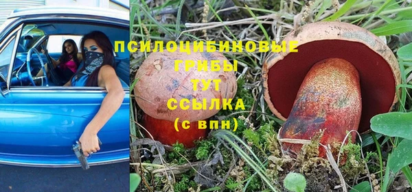 каннабис Белокуриха