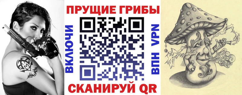 мега tor  Горно-Алтайск  Псилоцибиновые грибы прущие грибы  закладки 