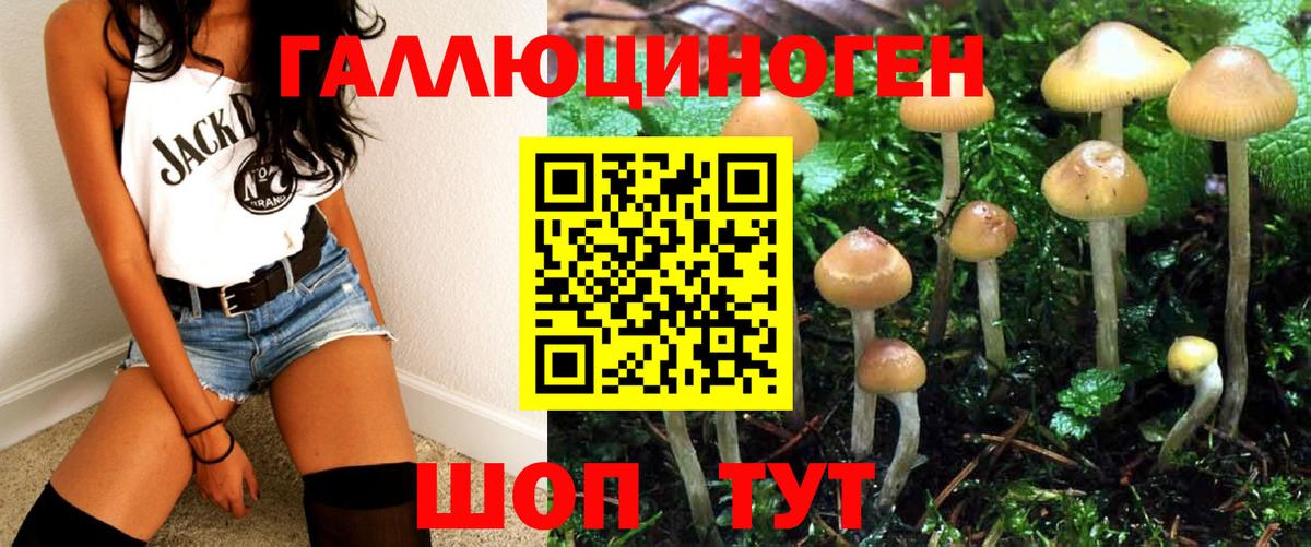 Галлюциногенные грибы мухоморы Горно-Алтайск