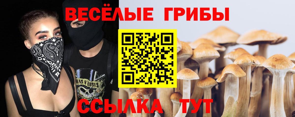 Горно-Алтайск  Псилоцибиновые грибы Psilocybe  Псилоцибиновые грибы GOLDEN TEACHER  Вход с VPN 